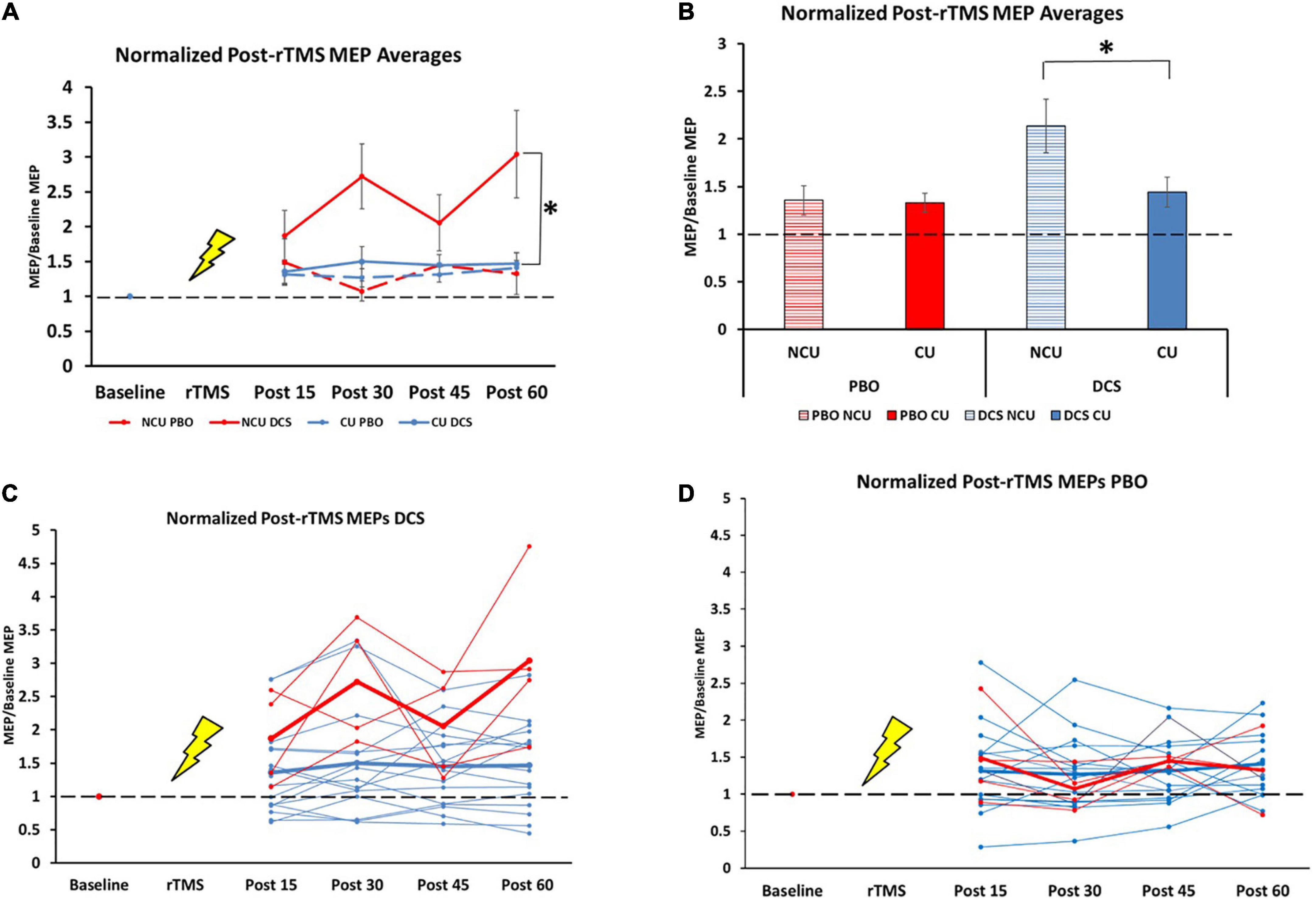 Chronic caffeine consumption curbs rTMS-induced plasticity